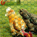 Treuil de fil de poulet hexagonal de haute qualité